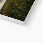 Rhossili Sunflowers Canvas