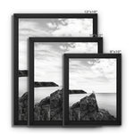 Gower Seagull Framed Canvas