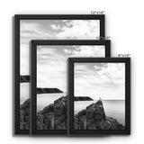 Gower Seagull Framed Canvas