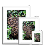 The Hive Framed & Mounted Print