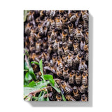 The Hive Hardback Journal