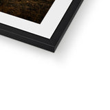 Highland Cow Framed & Mounted Print