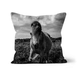 Whitesands Pony Cushion