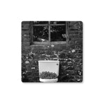 Ty Bach Coaster