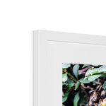 The Hive Framed & Mounted Print