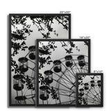 Carnival Framed Canvas
