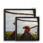 Red Panda Framed Canvas