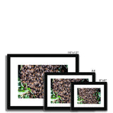 The Hive Framed & Mounted Print
