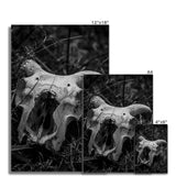 Horns Fine Art Print