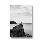 Gower Seagull Canvas