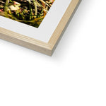 Wild Violets Framed & Mounted Print