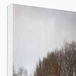 Welsh Cow Canvas