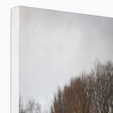 Welsh Cow Canvas