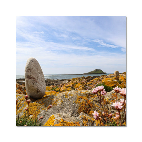 Worm's Head Fine Art Print