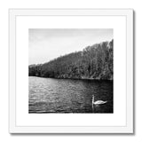 Swan Lake Framed & Mounted Print