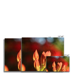 Fiore Italiano Fine Art Print