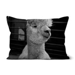 Alpaca Cushion