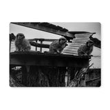 Lookout Placemat