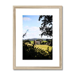 Newton House Framed & Mounted Print