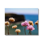 Flores Canvas