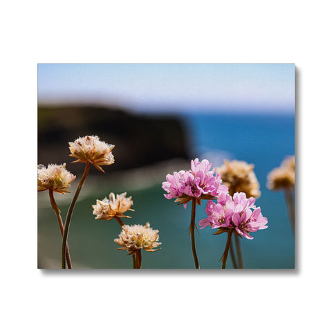 Flores Canvas