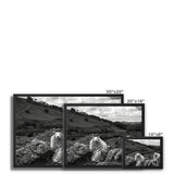 Llyn y Fan Sheep Framed Canvas