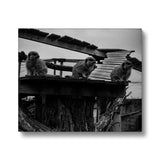 Lookout Canvas