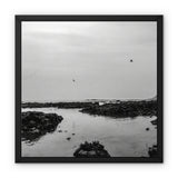 High flyers Framed Canvas