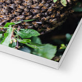 The Hive Canvas