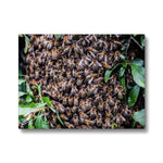 The Hive Canvas
