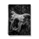 Horns Notebook