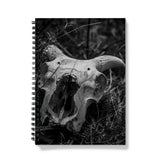 Horns Notebook