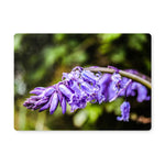 Bluebells Placemat