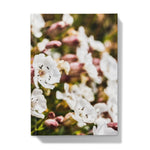 Sea Campion Hardback Journal