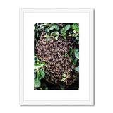 The Hive Framed & Mounted Print