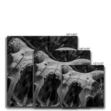 Horns Canvas