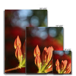 Fiore Italiano Canvas
