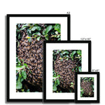 The Hive Framed & Mounted Print