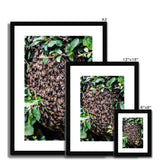 The Hive Framed & Mounted Print