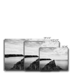 Gower Seagull Canvas