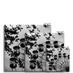 Carnival Fine Art Print