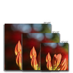 Fiore Italiano Canvas