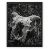 Horns Framed Canvas