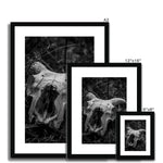 Horns Framed & Mounted Print