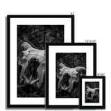 Horns Framed & Mounted Print