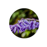 Bluebells Glass Chopping Board