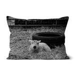 Little Lamb Cushion