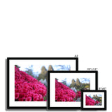 Clyne Gardens Framed & Mounted Print