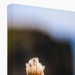 Flores Canvas