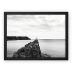 Gower Seagull Framed Canvas